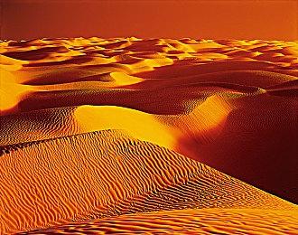 《切尔诺贝利人2：禁区》官方首个实机宣传片