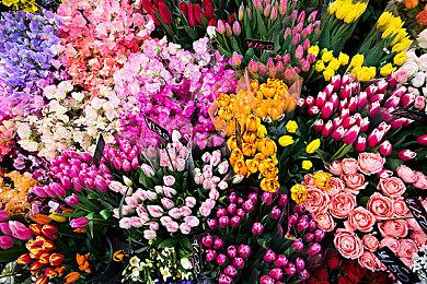 《命运2》正考虑添加类似《光环》8v8大型团队战模式